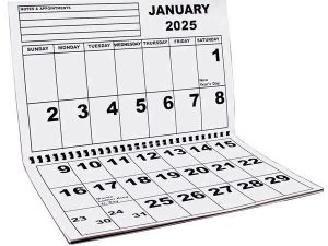 2025 Jumbo Large Print Calendar