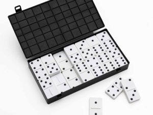 Dominoes with Raised Dots - Double Six