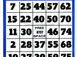 Large Print Bingo Cards - 10 Pack